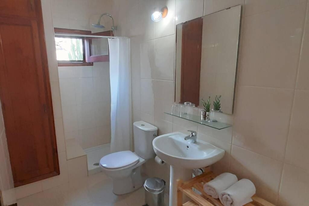 Los Nudos, Acogedor Apartamento Con Patio Privado. アガエテ エクステリア 写真